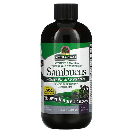 Sambucus - Black Elderberry