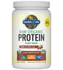 Raw Organic Protein Powder - Chocolate